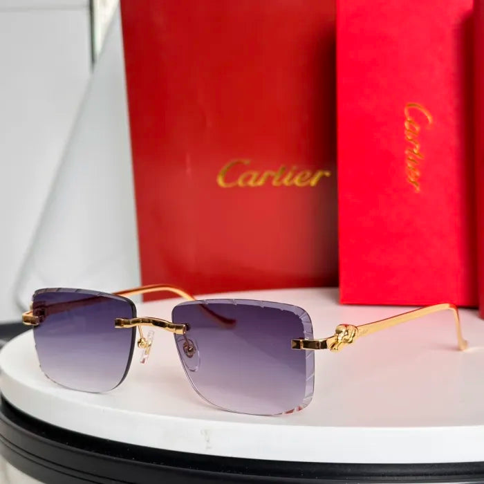 C - SUNGLASSES