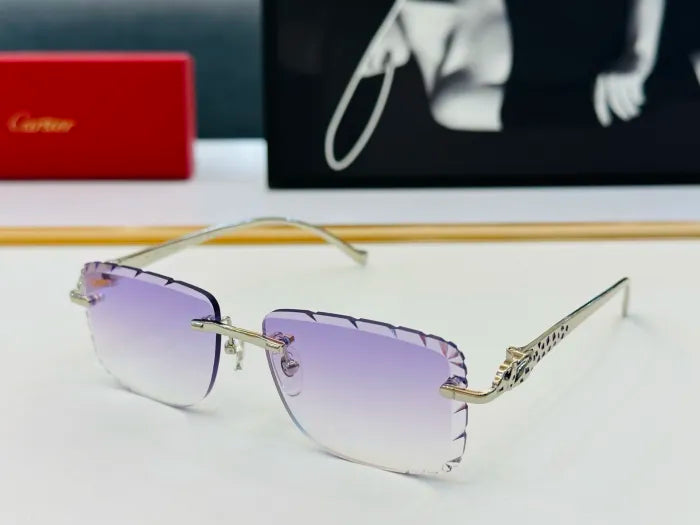 C - SUNGLASSES
