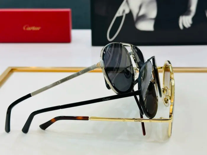 C - SUNGLASSES