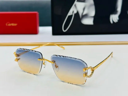 C - SUNGLASSES