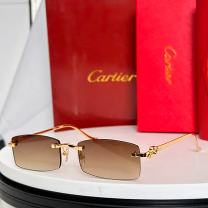 C - SUNGLASSES