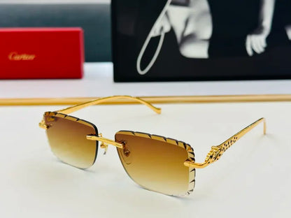 C - SUNGLASSES