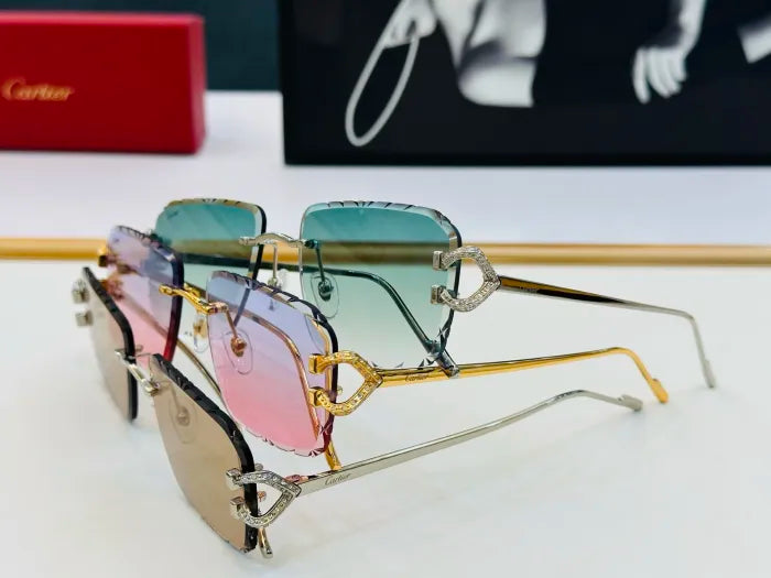 C - SUNGLASSES