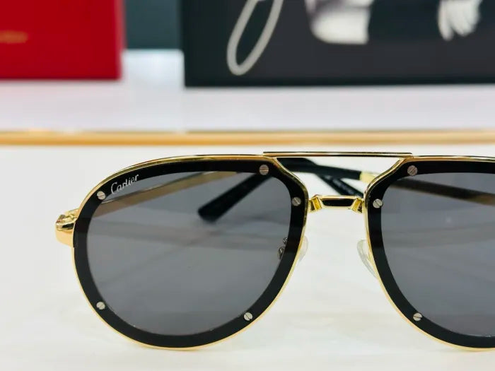 C - SUNGLASSES