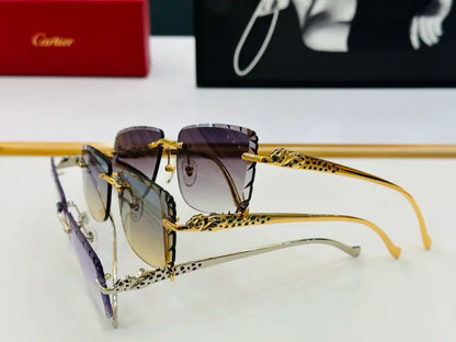 C - SUNGLASSES
