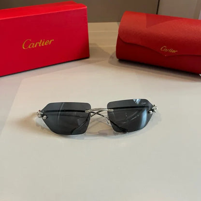 C - SUNGLASSES