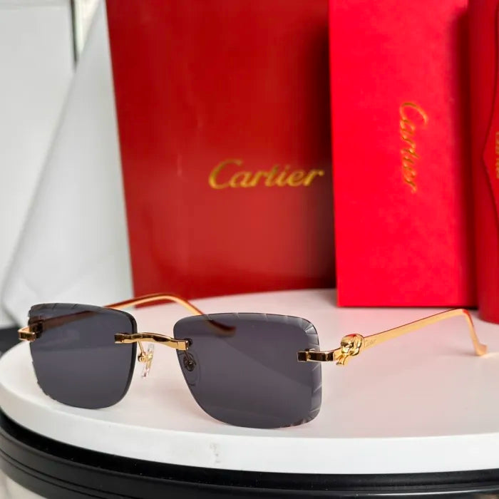 C - SUNGLASSES