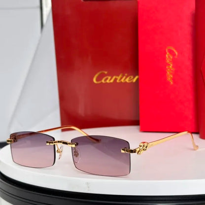 C - SUNGLASSES
