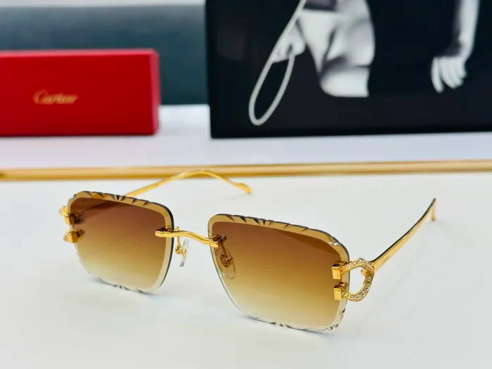 C - SUNGLASSES