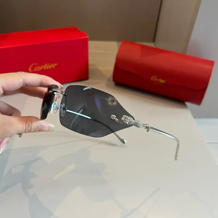 C - SUNGLASSES