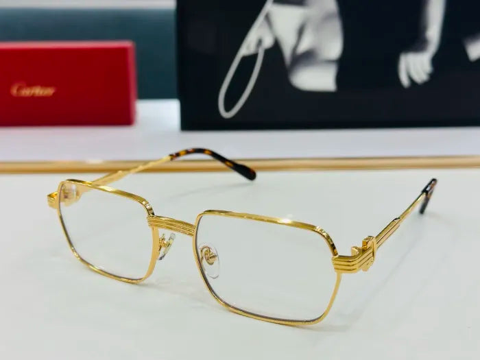 C - SUNGLASSES