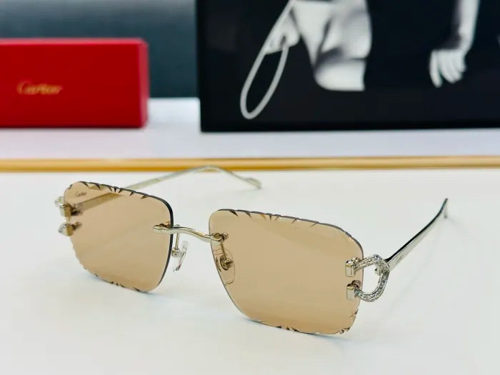 C - SUNGLASSES