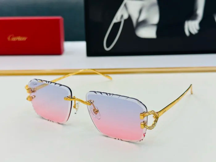 C - SUNGLASSES