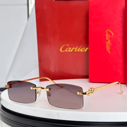 C - SUNGLASSES