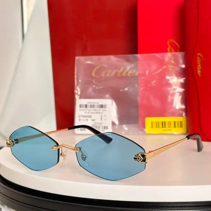 C - SUNGLASSES