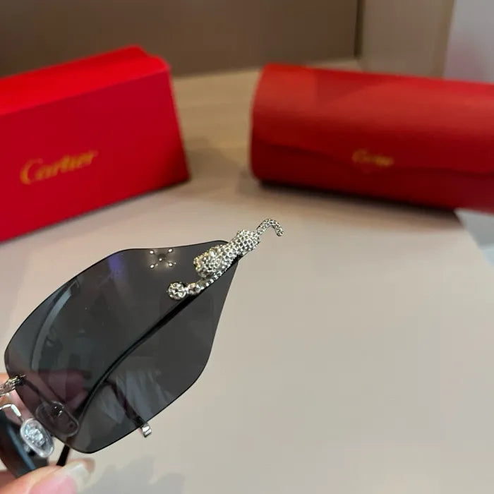 C - SUNGLASSES