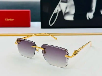 C - SUNGLASSES