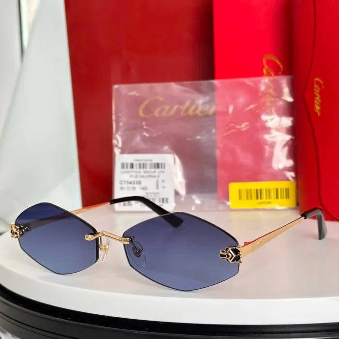 C - SUNGLASSES