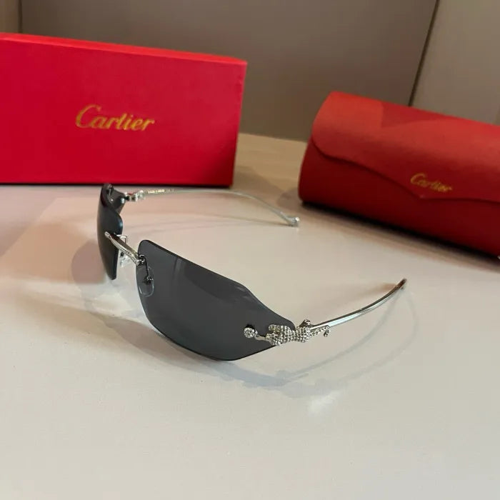 C - SUNGLASSES