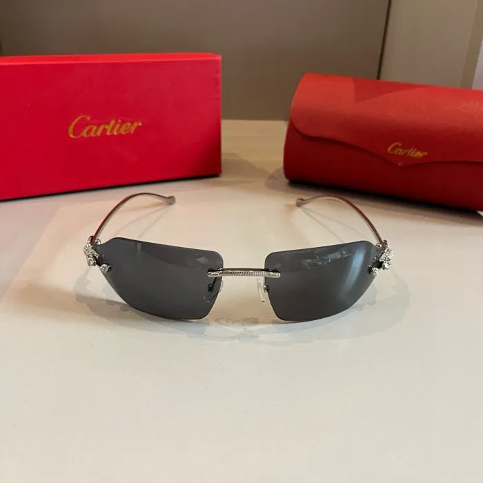 C - SUNGLASSES