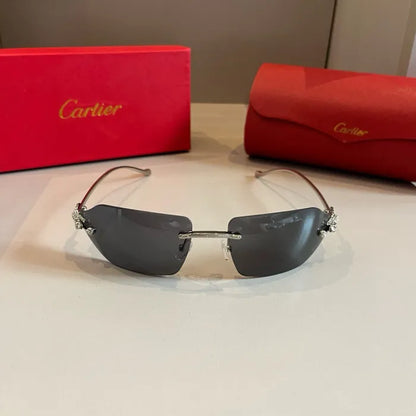 C - SUNGLASSES