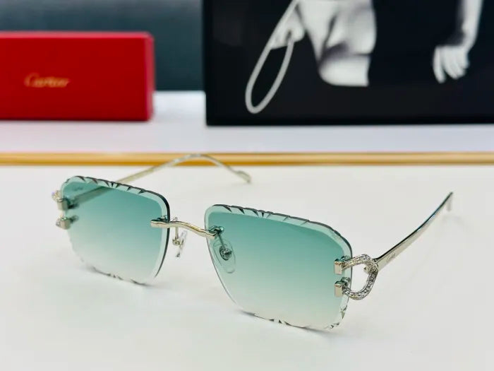 C - SUNGLASSES